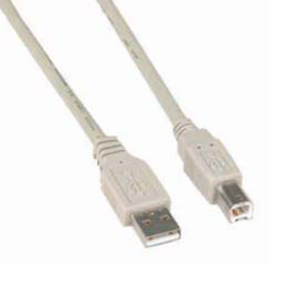 Cable, USB 2.0, A Male to B Male, Beige, 1'