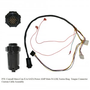 Conxall Maxi-Con-X to SATA Power AMP Mate-N-LOK Faston Ring Tongue Connector Wire Harness Assembly Full Sheet