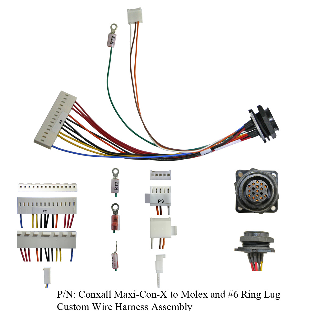 Conxall Maxi-Con-X to Molex and #6 Ring Lug Custom Wire Harness Assembly