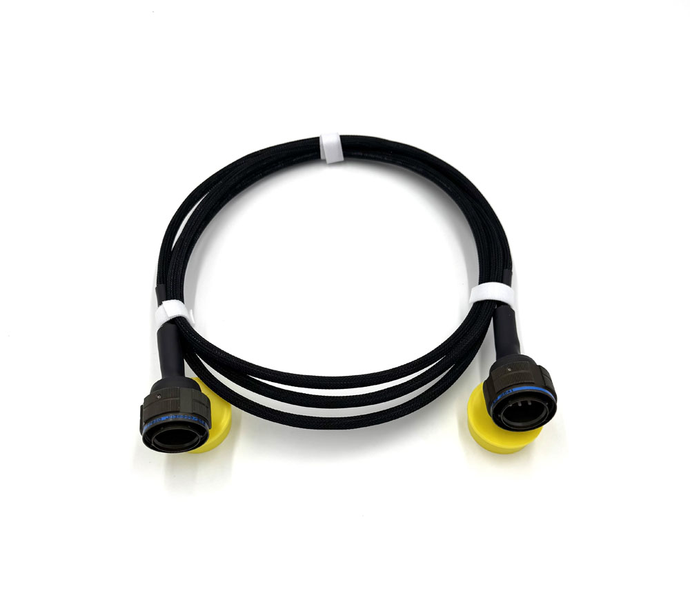 38999 Fiber Assembly
